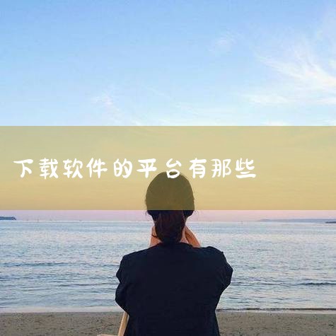 您可以通过以下软件下载旧版本的应用：1. 豌豆荚：作为一款提供丰富应用与游戏的下载市场，豌豆荚不仅拥有最新版本的APP资源，还提供了应用的历史版本下载服务，确保用户能够找到所需的旧版本应用。2. 应用|男娘日记