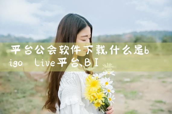 平台公会软件下载|糖心Vlog入口