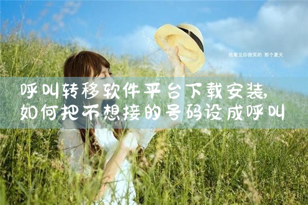 呼叫转移软件平台下载安装