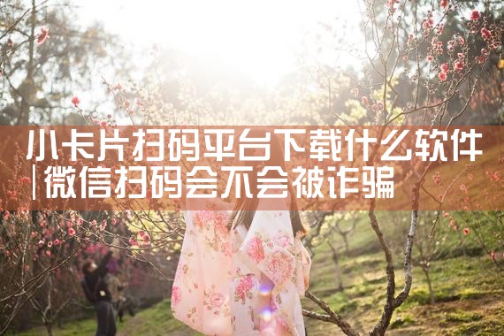 小卡片扫码平台下载什么软件