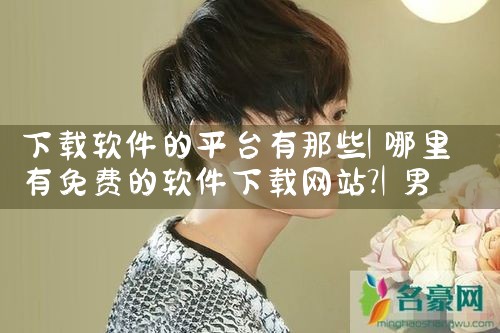 下载软件的平台有那些|男娘日记