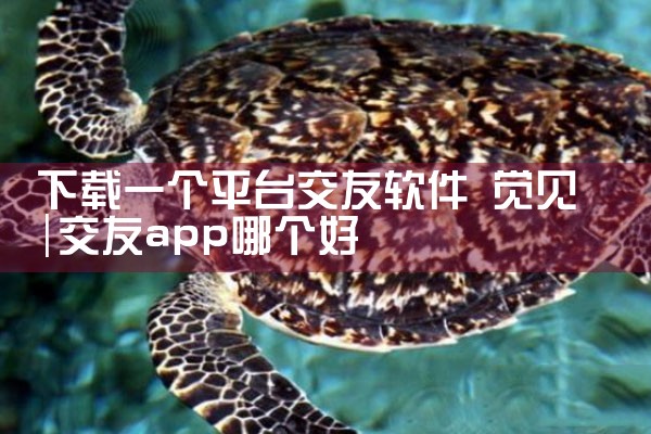 下载一个平台交友软件 觉见