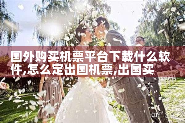 国外购买机票平台下载什么软件