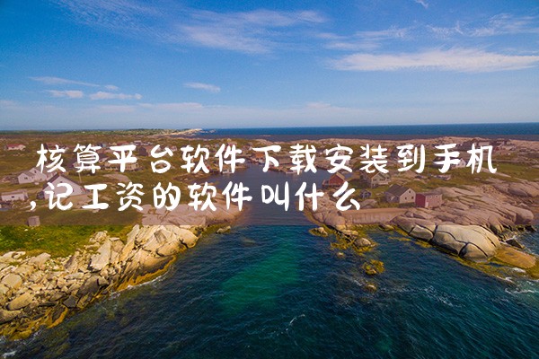 核算平台软件下载安装到手机